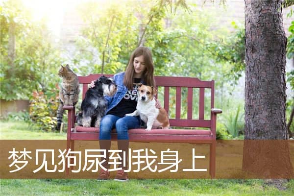 梦见狗尿到我身上是什么意思
