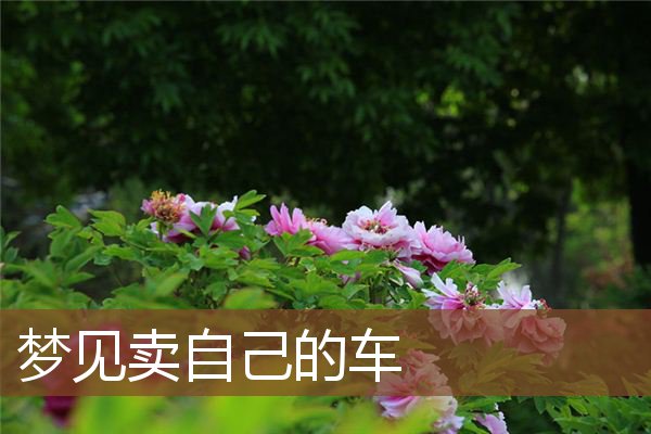梦见卖自己的车是什么意思