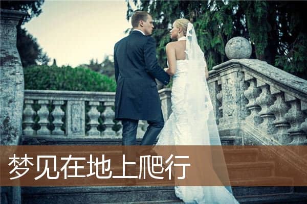 梦见在地上爬行是什么意思