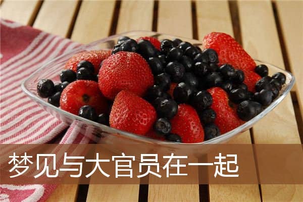 梦见与大官员在一起是什么意思