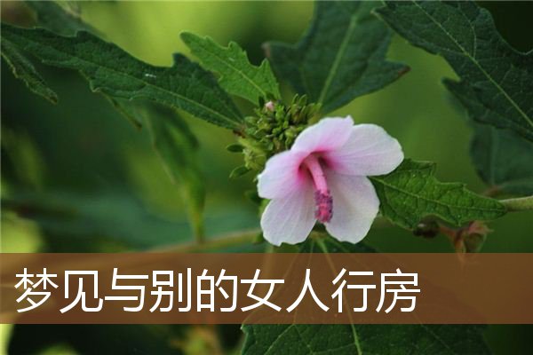 梦见与别的女人行房是什么意思