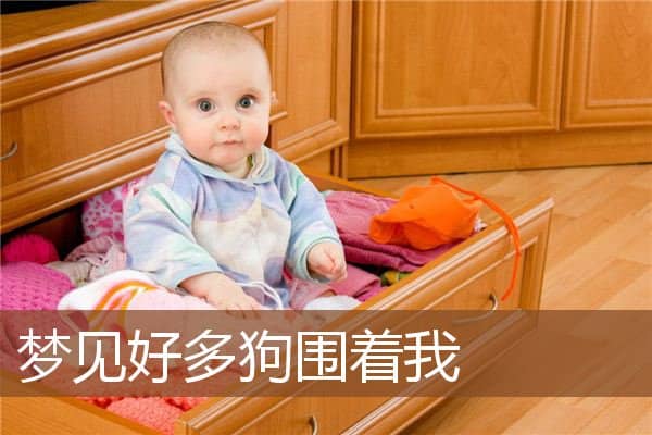 梦见好多狗围着我是什么意思