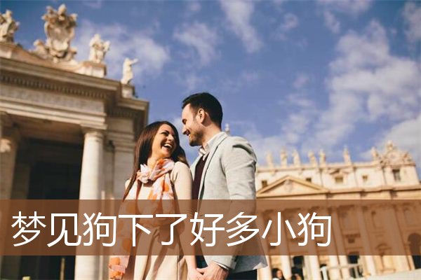 梦见狗下了好多小狗是什么意思