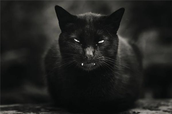 梦见怪兽追我是什么意思