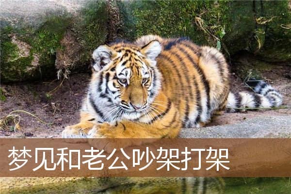 梦见和老公吵架打架是什么意思