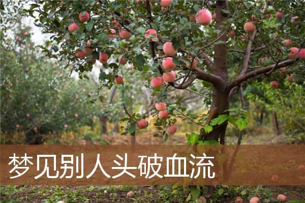 梦见别人头破血流是什么意思