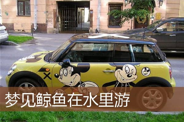 梦见鲸鱼在水里游是什么意思