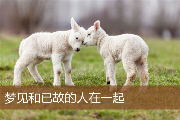 梦见和已故的人在一起是什么意思
