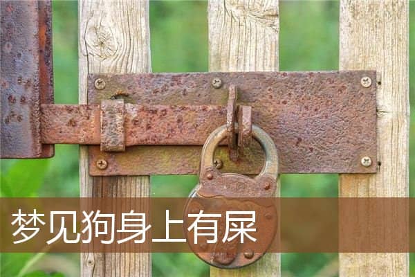 梦见狗身上有屎是什么意思