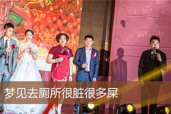 梦见去厕所很脏很多屎是什么意思