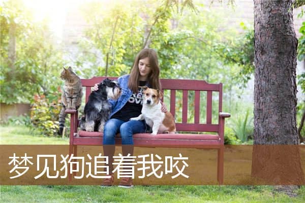 梦见狗追着我咬是什么意思