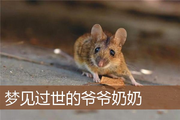 梦见过世的爷爷奶奶是什么意思