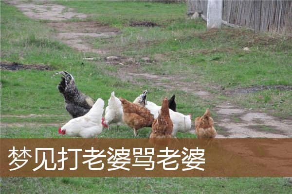 梦见打老婆骂老婆是什么意思