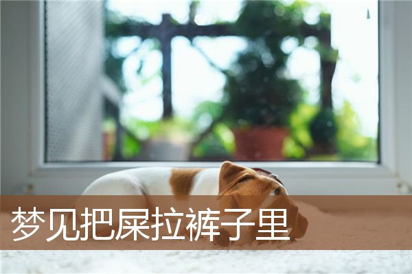 梦见把屎拉裤子里是什么意思