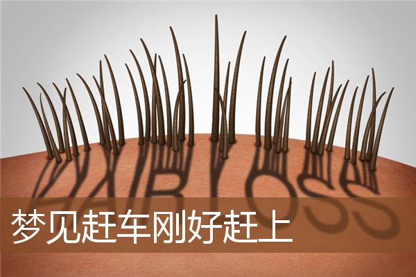 梦见赶车刚好赶上是什么意思