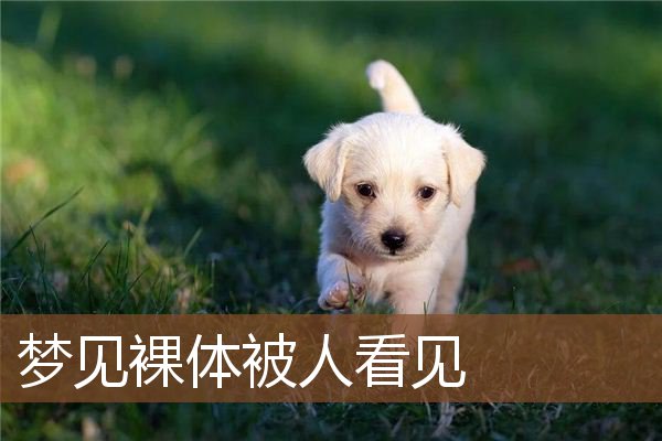 梦见裸体被人看见是什么意思