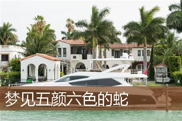 梦见五颜六色的蛇是什么意思