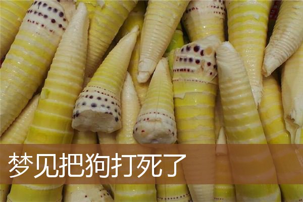 梦见把狗打死了是什么意思