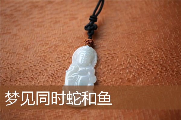 梦见同时蛇和鱼是什么意思