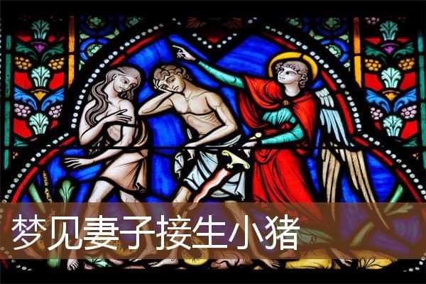 梦见妻子接生小猪是什么意思