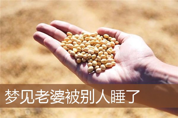 老婆被别人睡了