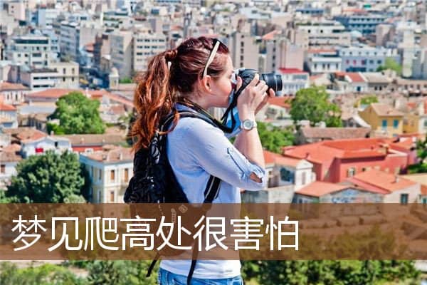 梦见爬高处很害怕是什么意思