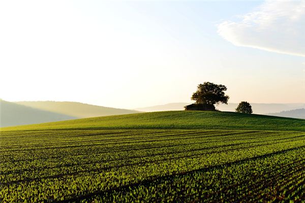 梦见平整土地是什么意思