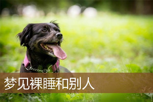 梦见裸睡和别人是什么意思