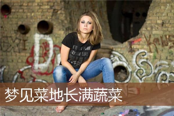 梦见菜地长满蔬菜是什么意思