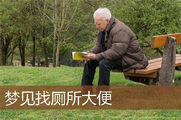 梦见找厕所大便是什么意思