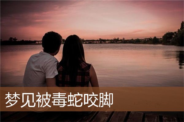 梦见被毒蛇咬脚是什么意思