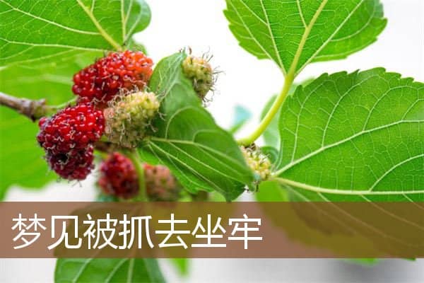 梦见被抓去坐牢是什么意思