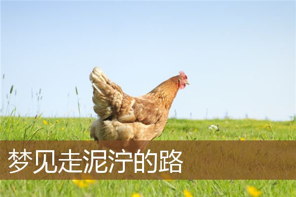 梦见走泥泞的路是什么意思