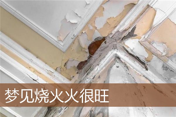 梦见烧火火很旺是什么意思