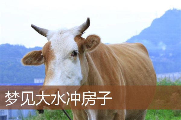 梦见大水冲房子是什么意思