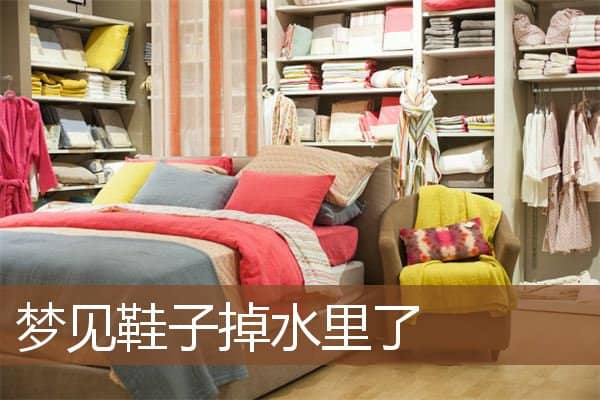 梦见鞋子掉水里了是什么意思