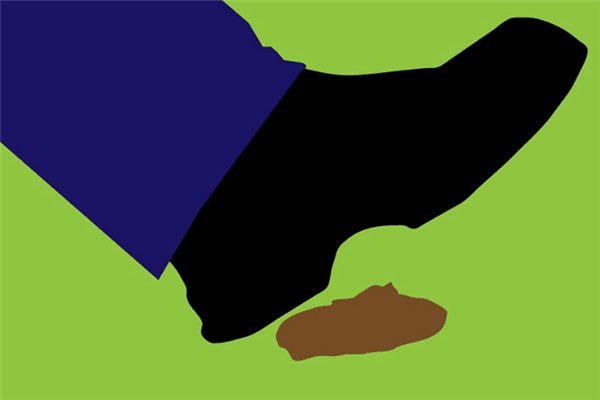 踩到狗屎