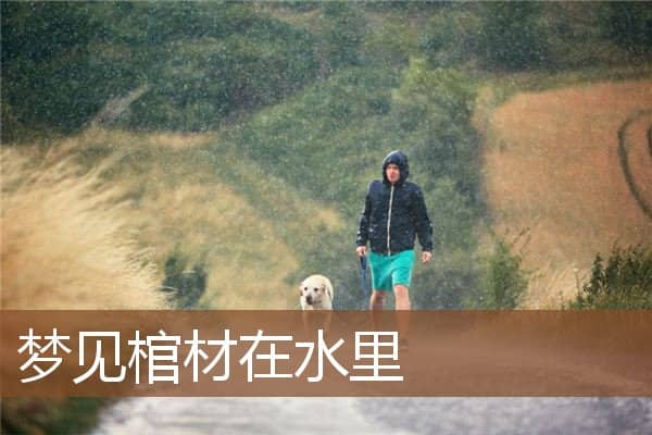 梦见棺材在水里是什么意思