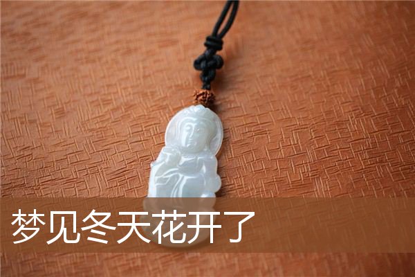 梦见冬天花开了是什么意思
