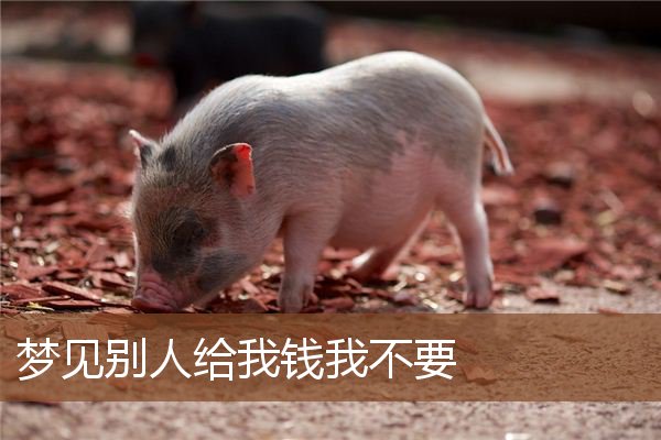 梦见别人给我钱我不要是什么意思