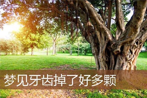 梦见牙齿掉了好多颗是什么意思