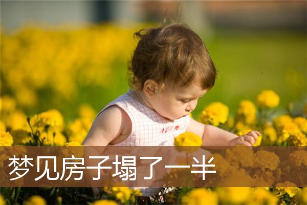 梦见房子塌了一半是什么意思