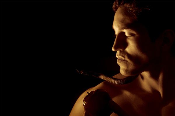 梦见别人养蛇是什么意思