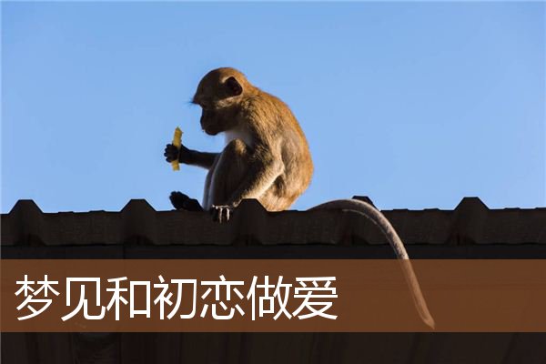 梦见和初恋做爱是什么意思