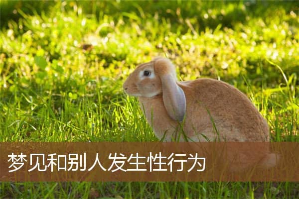 和别人发生性行为