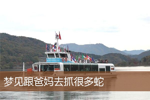 梦见跟爸妈去抓很多蛇是什么意思