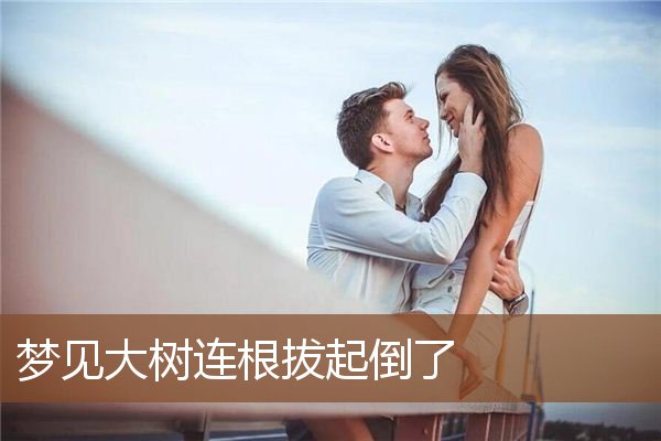 梦见大树连根拔起倒了是什么意思