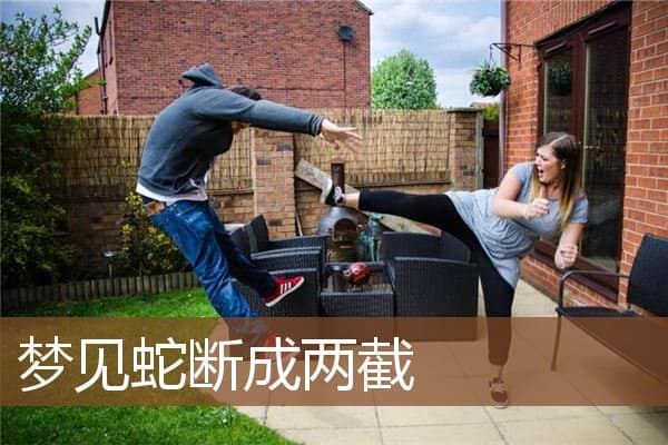 梦见蛇断成两截是什么意思