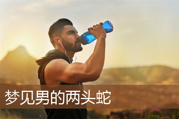梦见男的两头蛇是什么意思