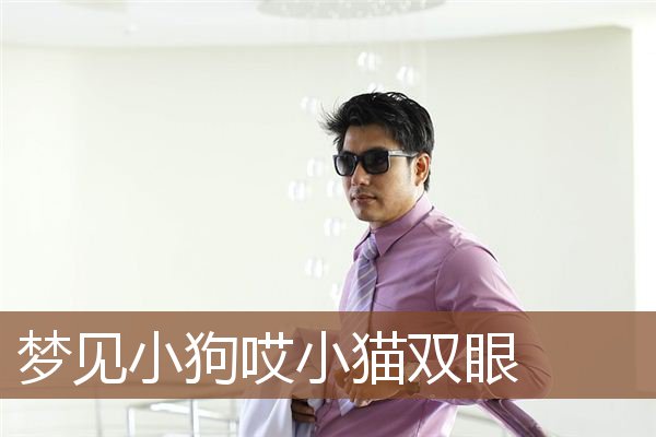 梦见小狗哎小猫双眼是什么意思